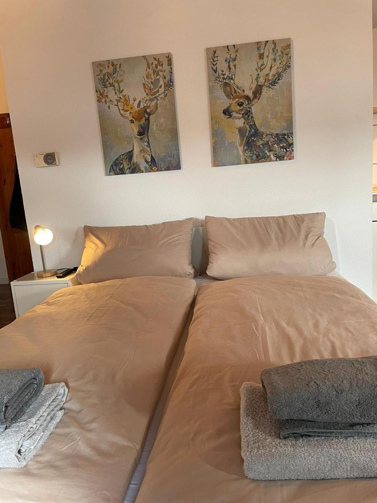 Apartment Kleiner Muenz كوبلنس المظهر الخارجي الصورة