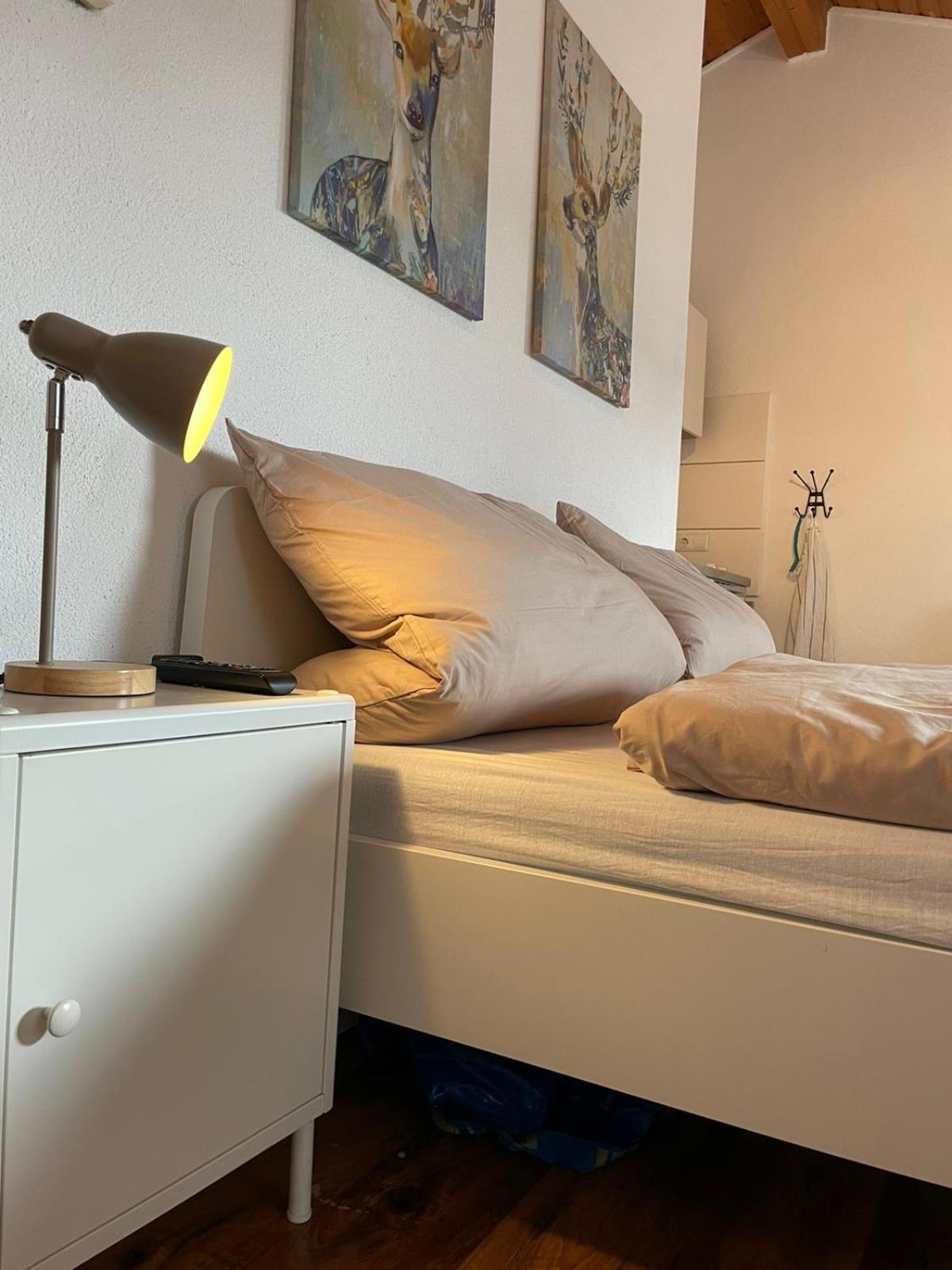 Apartment Kleiner Muenz كوبلنس المظهر الخارجي الصورة